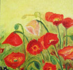 Mohnblumen rot